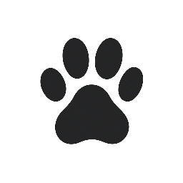 New Dog Owner Tips
