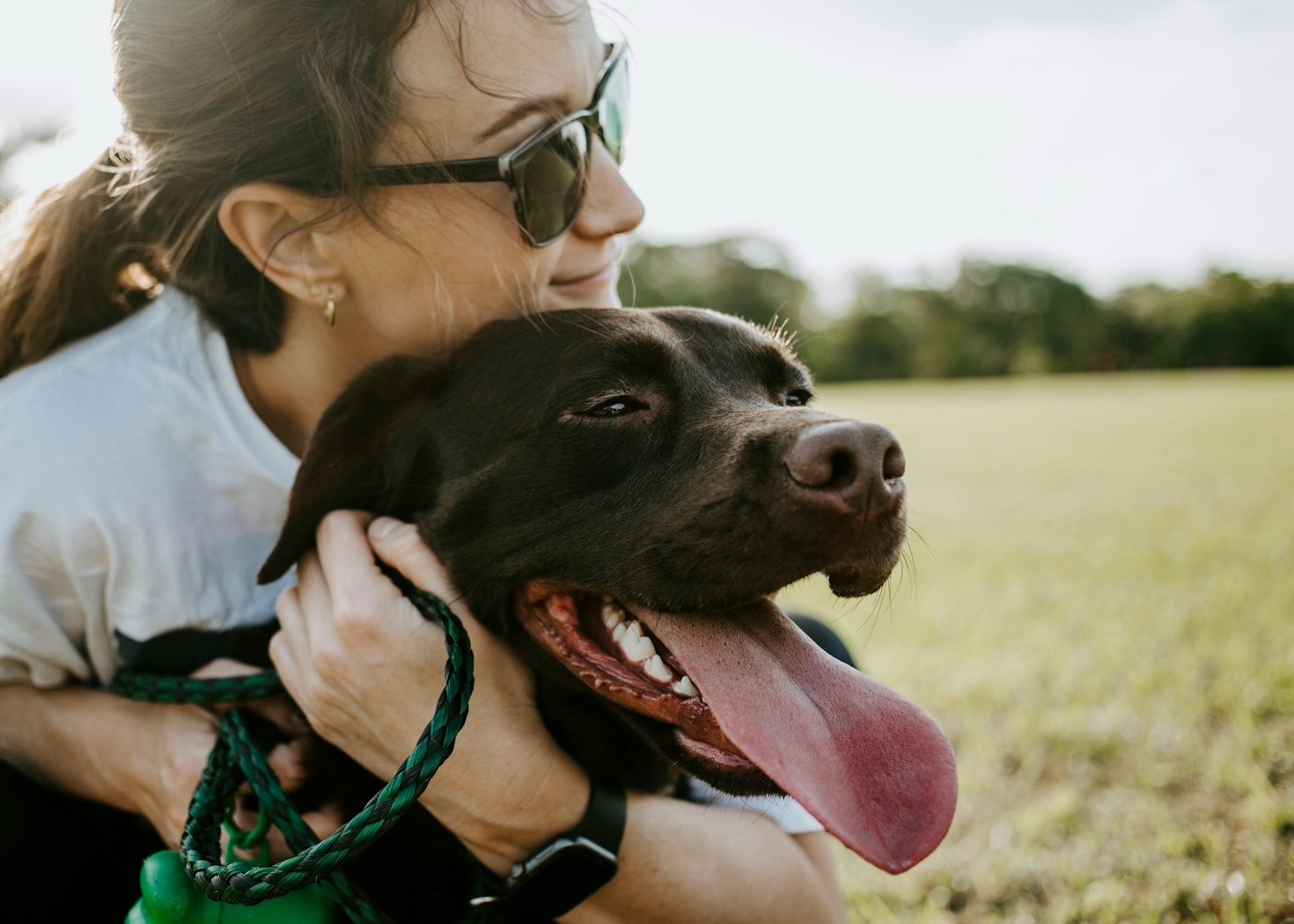 5 Things Every New Dog Owner Should Know