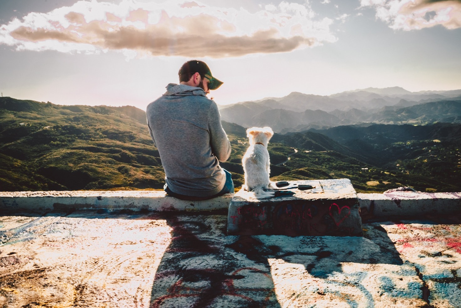 How to Find the Perfect Breed for Your Lifestyle