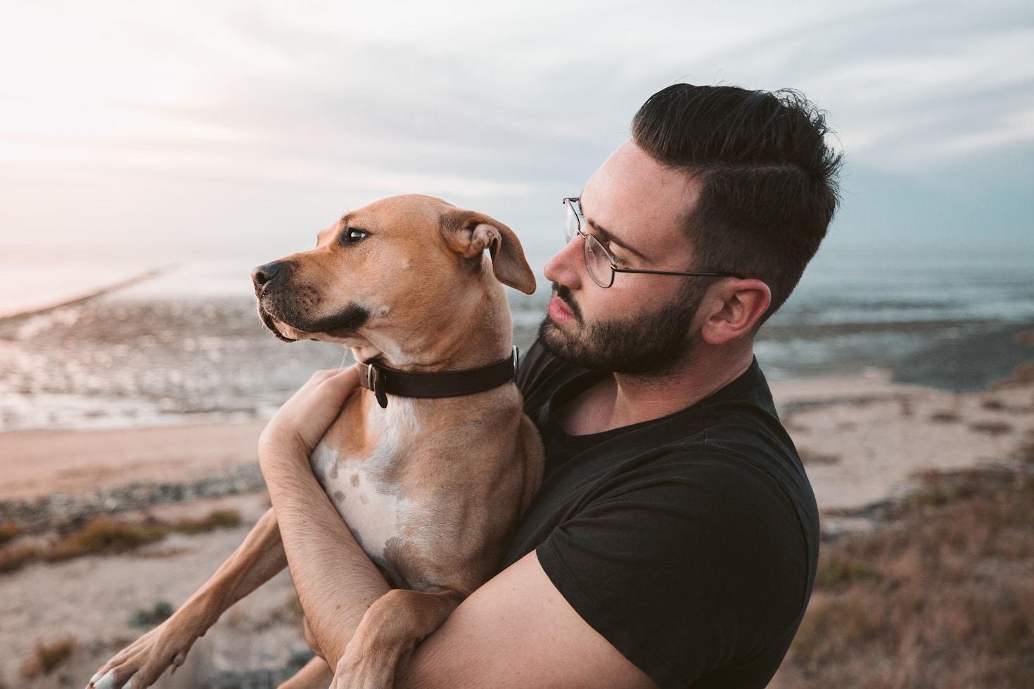 The Ultimate Checklist for New Puppy Parents