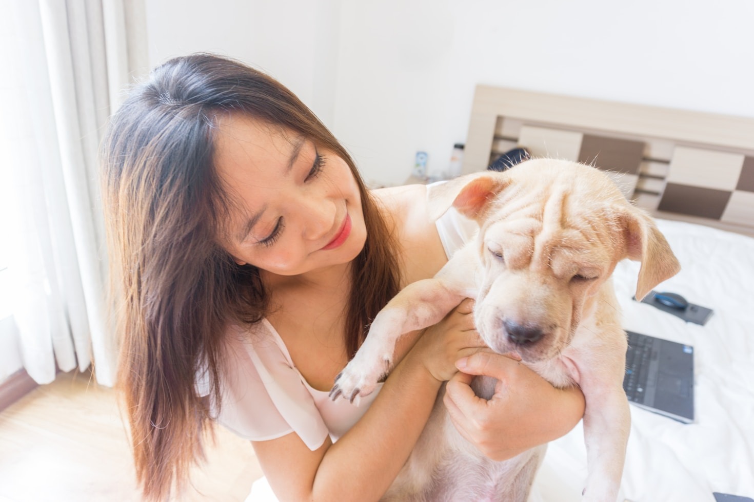 Top 10 Must-Have Products for New Dog Owners