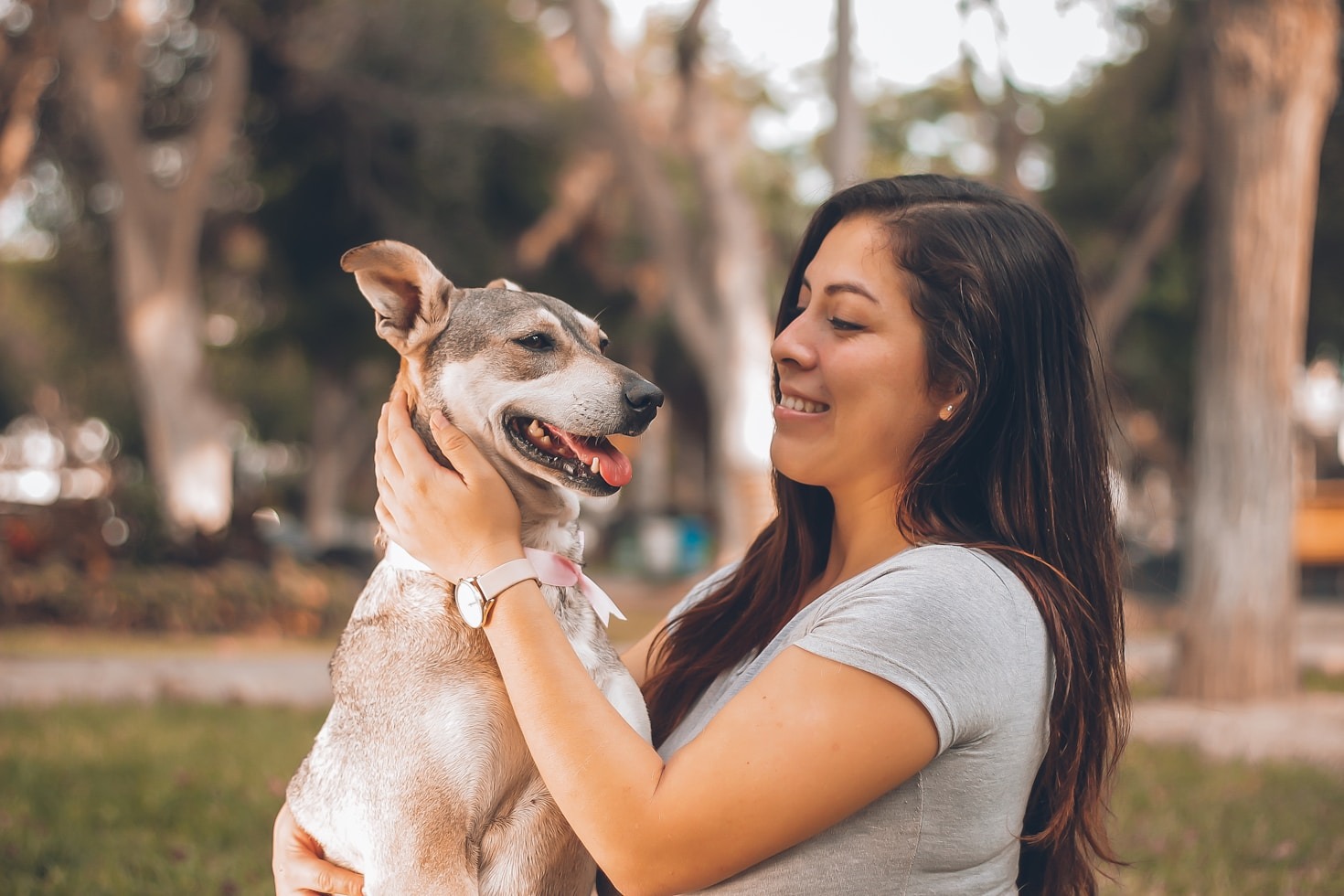 How to Set Up Your Home for a New Dog